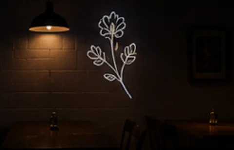 Boutique Floral projected on the wall in light