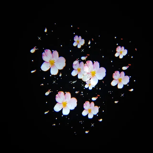 TriScope 3-Prism effect projecting a cherry blossom gobo design, tripled in a triangular arrangement
