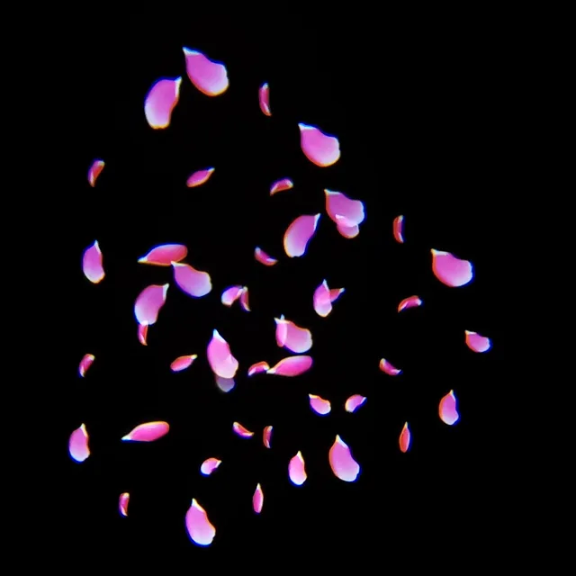 TriScope 3-Prism effect projecting a flower petal gobo design, tripled in a triangular arrangement
