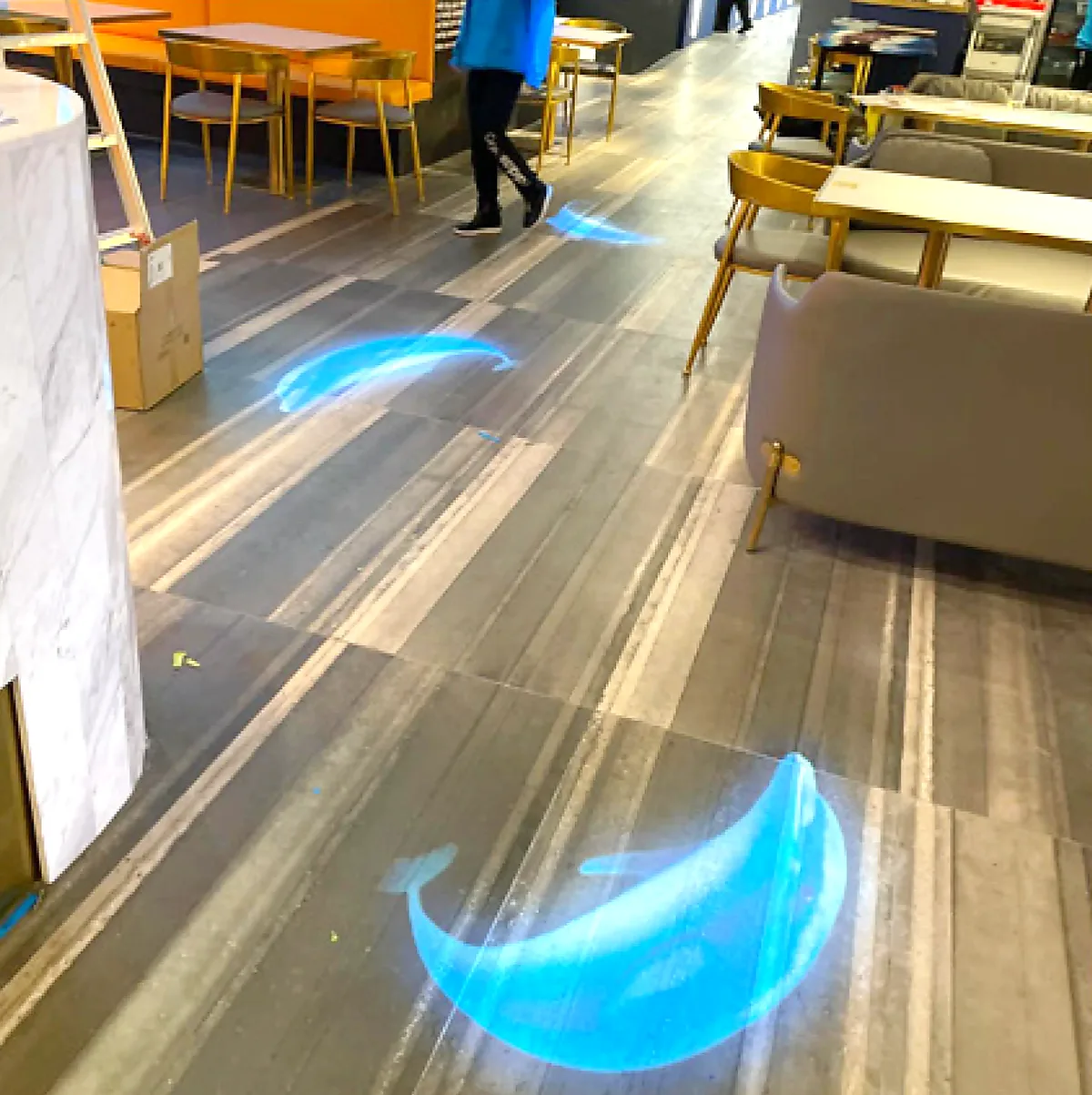 Blue whale projections gliding across a cafe floor between tables