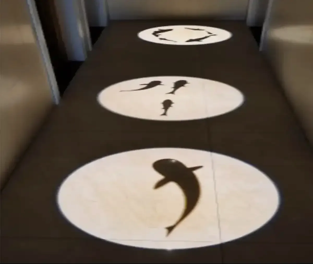 Fish-silhouette spotlights leading guests along a lounge walkway — real install