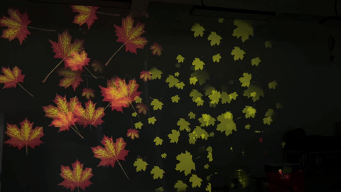 outdoor projector - newyear