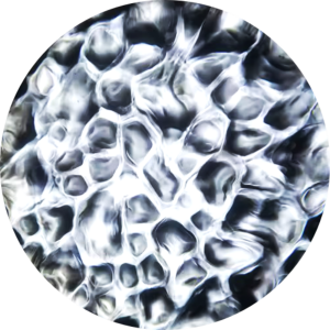 Water - 29 White.png