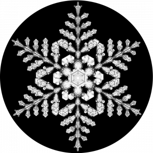 GOBO - snow 03.png