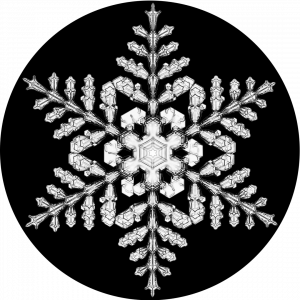 GOBO - snow 03.png