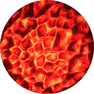 Water - Red.png