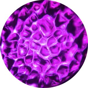 Water - 08 Purple Red.png