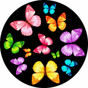 GOBO - DECORATION - Butterflies.png