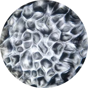 Water - White.png