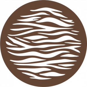 Gobo Pattern Zebra 1.png