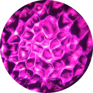 Water - Pink.png