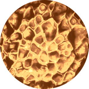 Water - 27 Warm Color.png