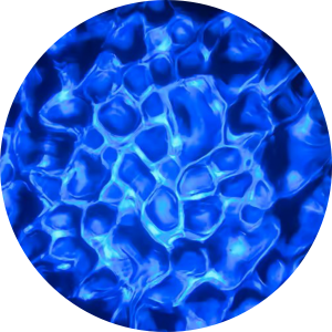 Water - Dark Blue.png
