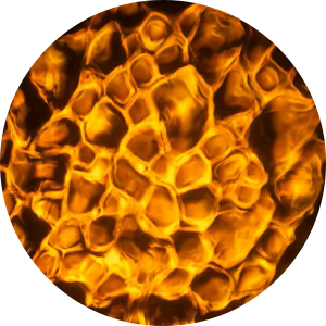 Water - Orange.png