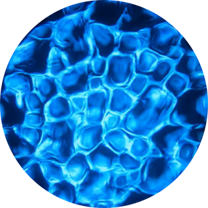 Water - Baby Blue.png