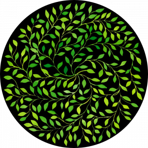 GOBO 3D - Leafes 02.png