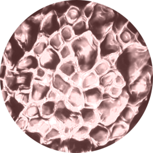 Water 20 - Fruit Powder.png