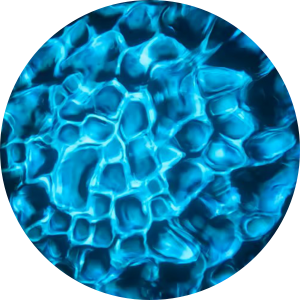 Water - Sky Blue.png
