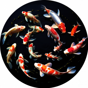 GOBO 3D - Koi Fish.png