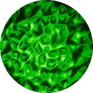 Water Green.png