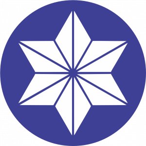 Gobo Pattern Star 8.png