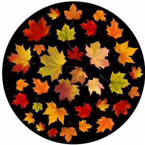 GOBO 3D - Leafes 01.png