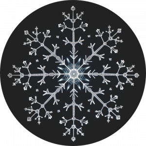 GOBO - snow 02.png