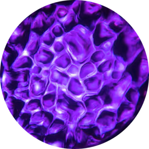 Water - 07 Purple.png