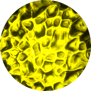 Water - Yellow.png