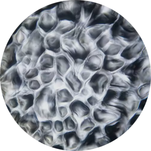 Water - 28 Light Gray.png