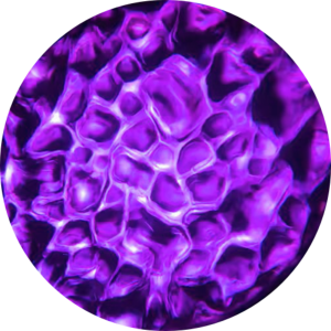 Water - Purple.png
