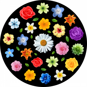 GOBO 3D - Flower 01.png