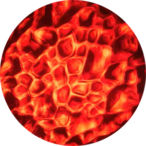 Water - 13 Red.png