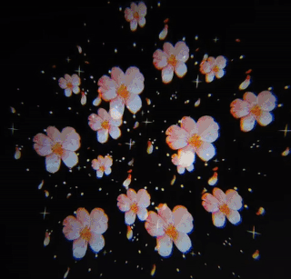 8 Gobo Static