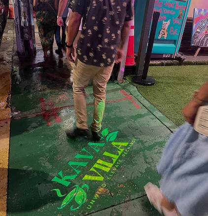 Projected logo preview 2