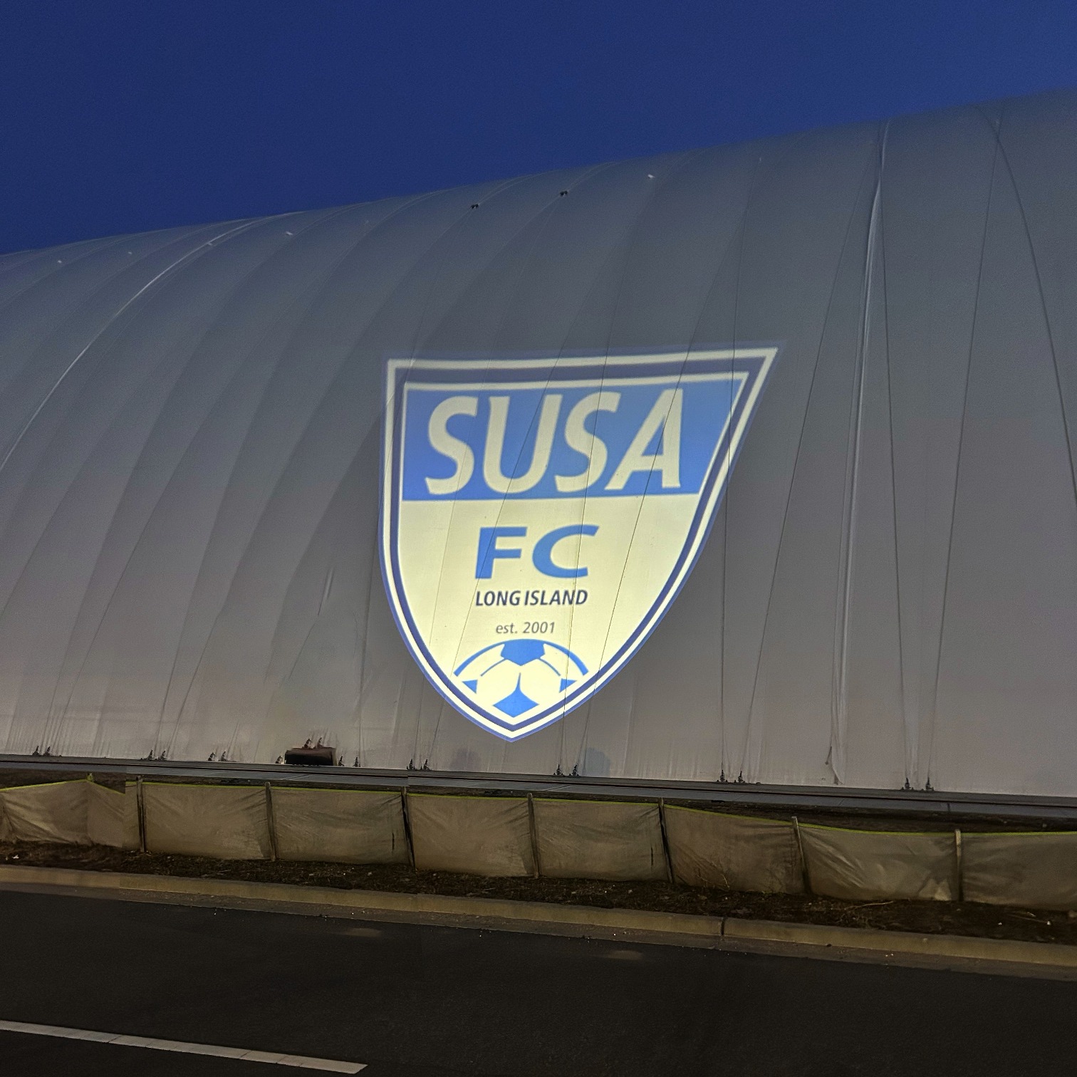 Projected logo preview 3