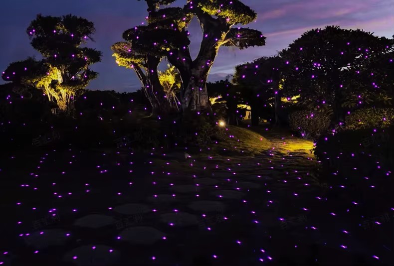 OUTDOOR DECORATIVE PROJECTOR - newyear